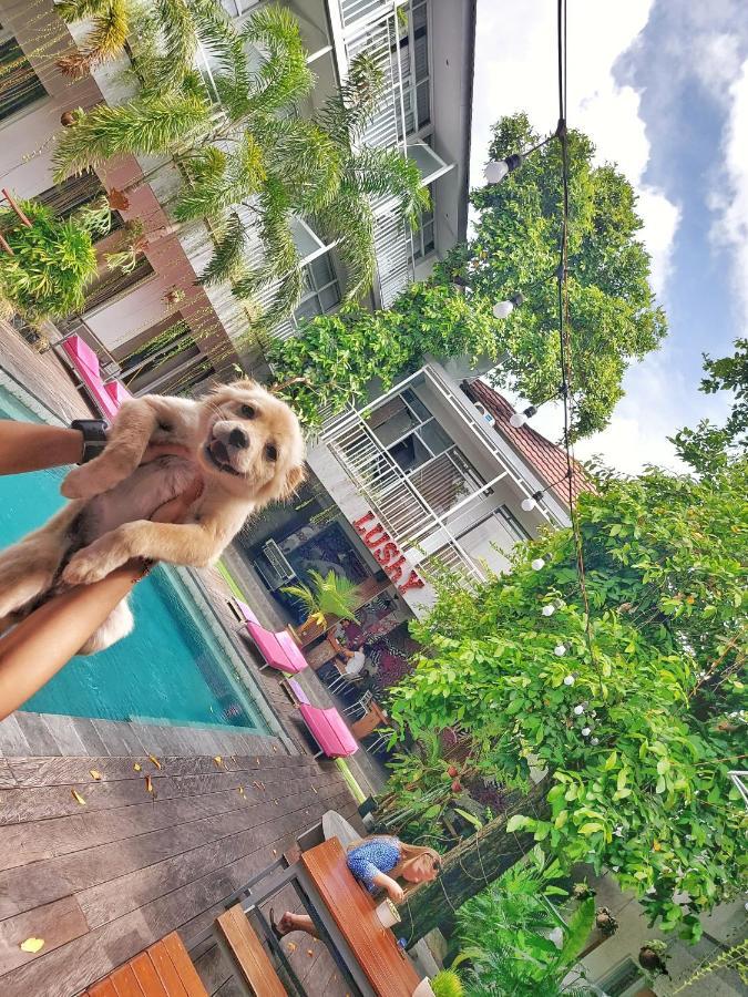 Lushy Hostel Canggu Exterior foto
